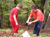 apprentissage de la cueillette de chataigne