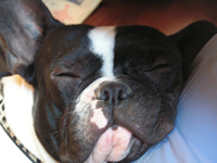 Athos qui dort
